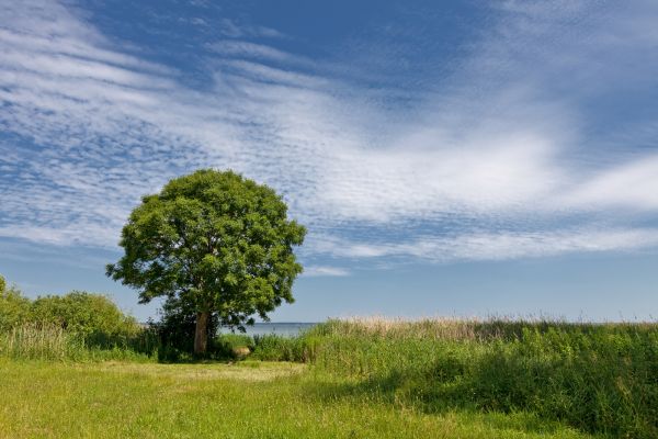 DRK Kreisverband Mecklenburgische Seenplatte