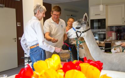 Tierischer Besuch im Hospiz