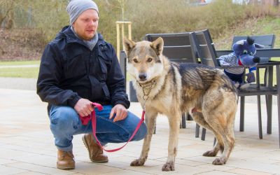 tierischer Besuch im Warener Hospiz „Müritzpark“