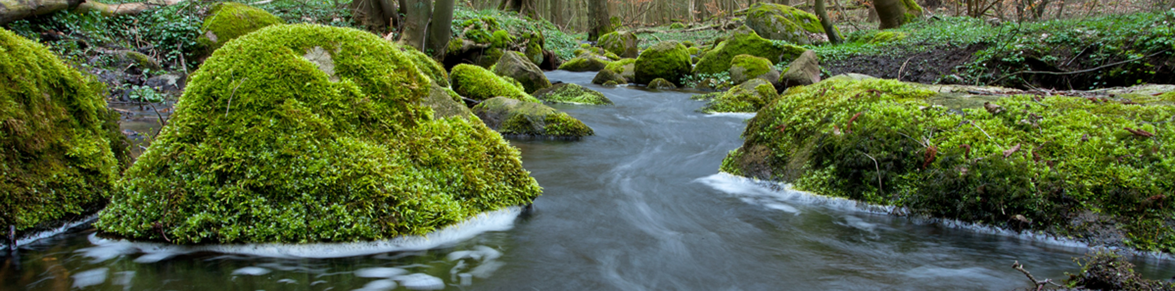 Fluss